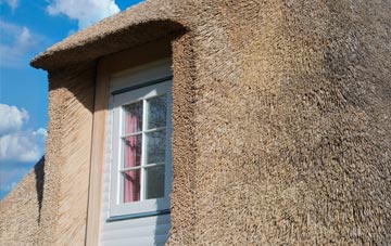 Langaford thatch roof disadvantages